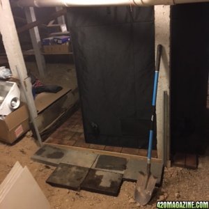 Gorilla Grow Tent