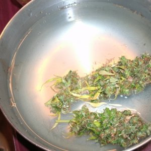 Bud Washing