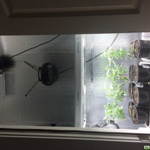 My grow room pics