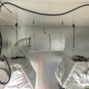 My grow room pics