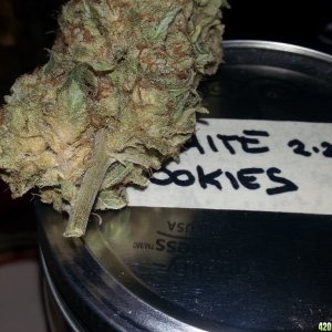 White Cookies