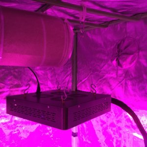 4x4 Fusion Hut w/900 Watt Mars II Hydro LED