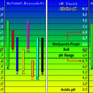 PH Uptake Chart