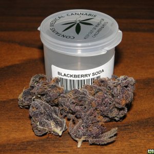 Blackberry Soda-July N.O.T.M. Entry