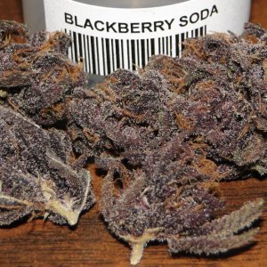 Blackberry Soda-July N.O.T.M. Entry