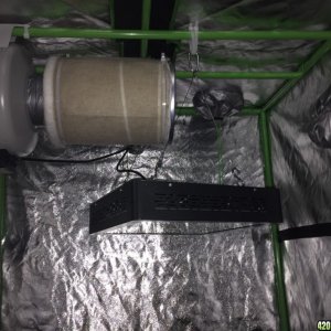 4x4 Fusion Hut w/900 Watt Mars II Hydro LED