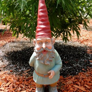 Grimmbel Garden Gnome