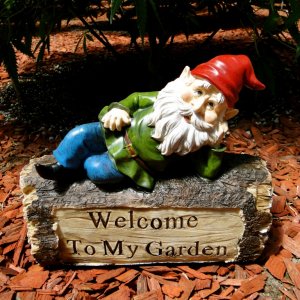 Welcome Garden Gnome