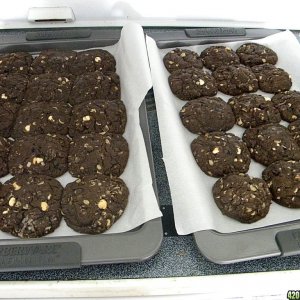 Buffalo Cookies