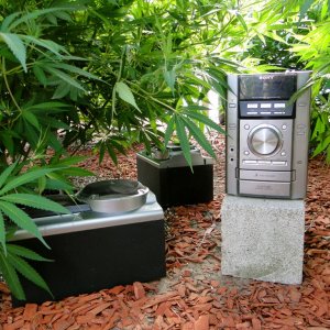 Greenhouse Stereo System