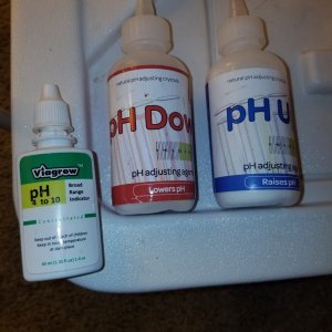 My ph kit