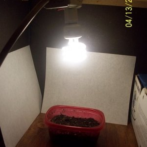 My grow setup ...