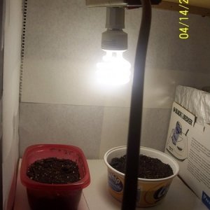 420am&pm's grow