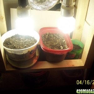 420am&pm's grow