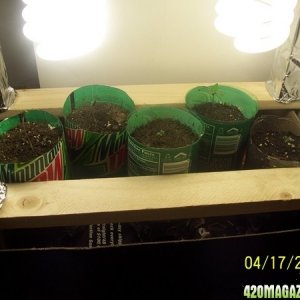 420am&pm's grow