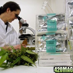 Weed Reasearch