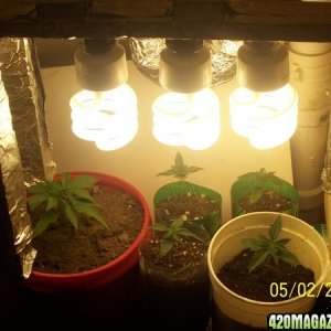 420am&pm's grow