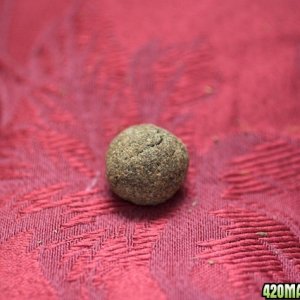 Super Lemon Haze Hash_002