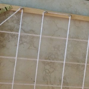 DIY Scrog Screen