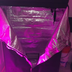 Grow Tent 48x24x72