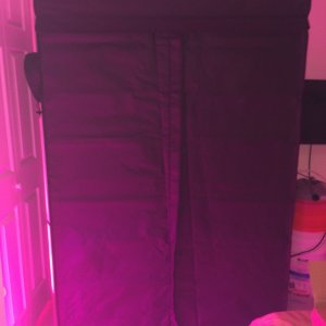 Grow Tent 48x24x72