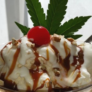 Sundae_2