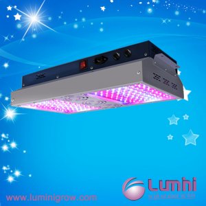 LuminiGrow 600R1