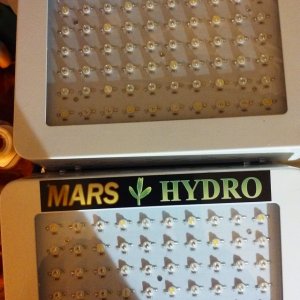 New mars hydro full spectrum cubes and grow tent