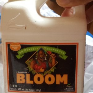 Nutrient Bloom