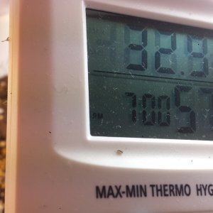 Temperature and Humidity