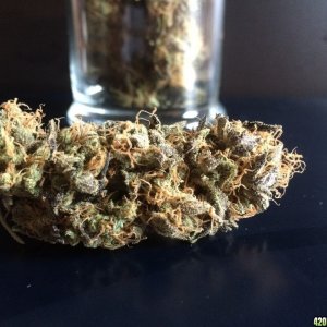 (S.A.D.) S1 sweet Afghan Delicious