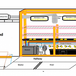 layout24