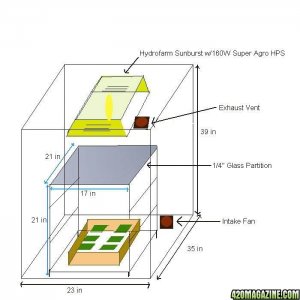 Modified scrog grow room