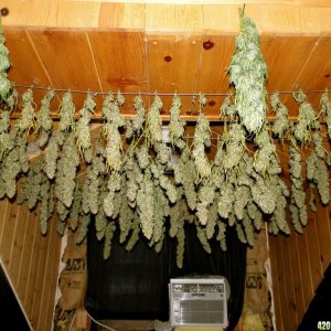 Drying Room #1-9/26/16