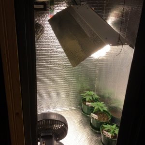 4x4 Fusion Hut w/900 Watt Mars II Hydro LED