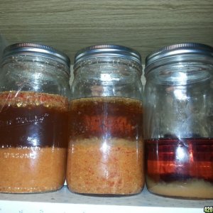 Ginger, Garlic & Pepper ferment - pest control