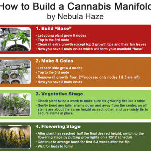 Nebulas how to manifold