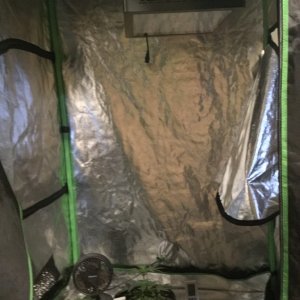 4x4 Fusion Hut w/900 Watt Mars II Hydro LED