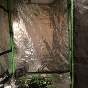 4x4 FusionHut w/Mars II Hydro 900 watt LED