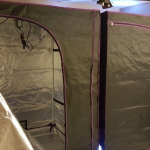 my grow tents