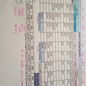 Feeding Schedule for Grow1