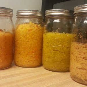 Bloom Ferments