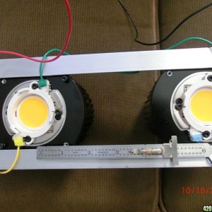 Timber 200 Watt Cree CXB3590 Kit DIY