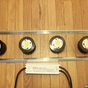 Timber 200 Watt Cree CXB3590 Kit DIY