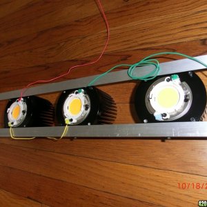 Timber 200 Watt Cree CXB3590 Kit DIY