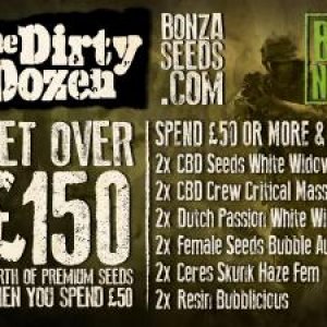 dirty dozen