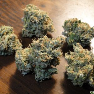 Random Indoor Strains