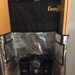 Grow Setup