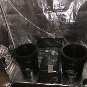 Grow Setup