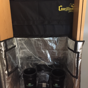 Grow Setup